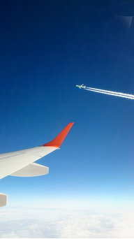 Anatol767