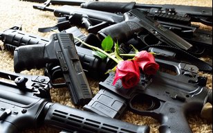 Gans&roses