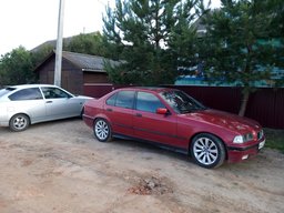 антонE36