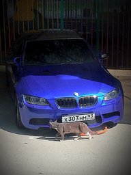 джука