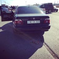 Mamedaleyev333