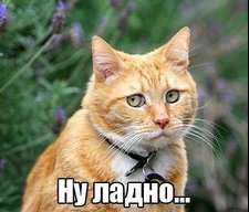Evak-deshevo
