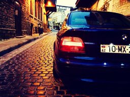 sasha225