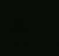 black27