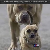 artemGabelev