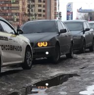 dimok8856