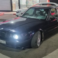 borz540e34
