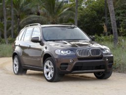 tema x5