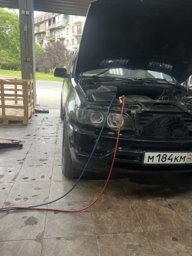 MAJESTA_014