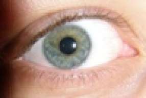 FLASH_m@n