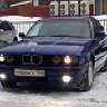 kalter