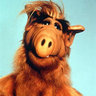 The AGENT