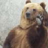 Mishka Grizzly