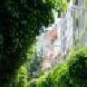 Veinard