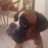 Wincent