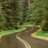 YOL