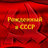 санек 33