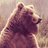 BearGeorge