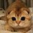 Mr_Lebedev