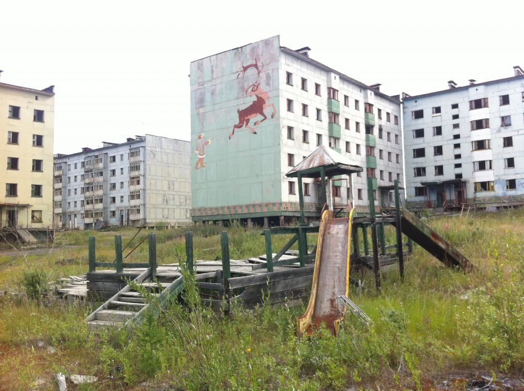 IMG 0981