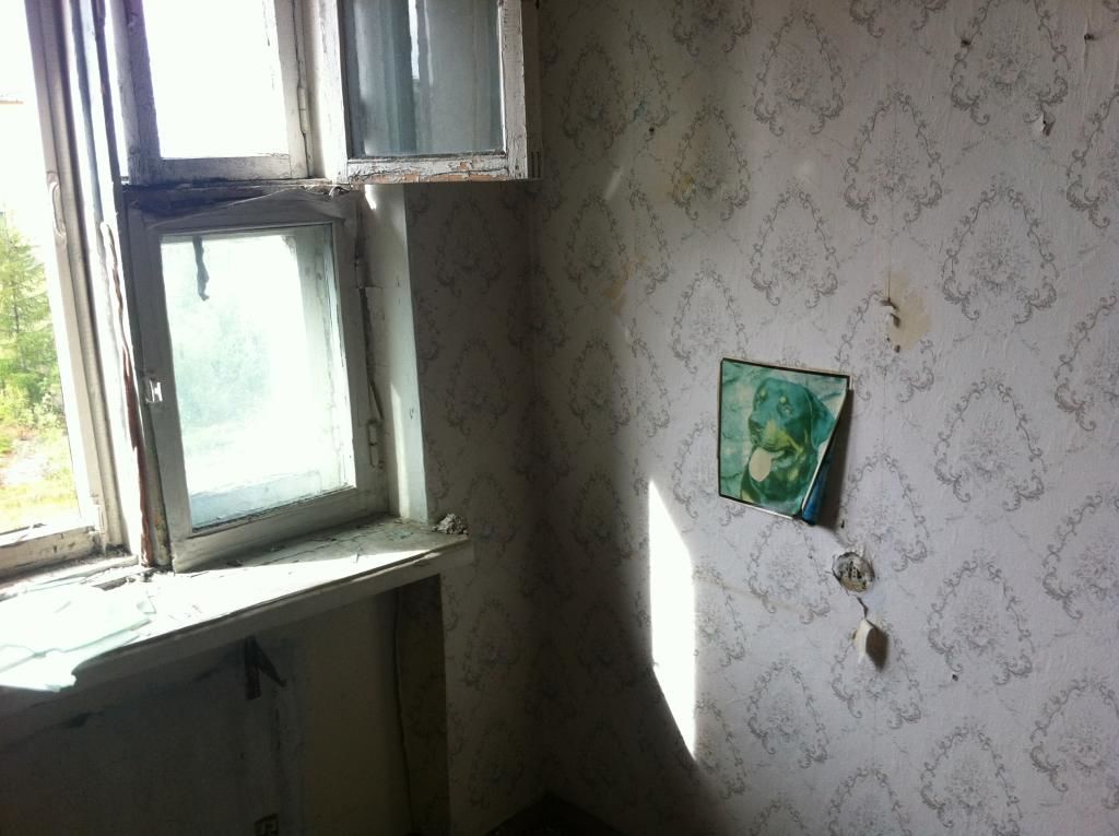 IMG 0987