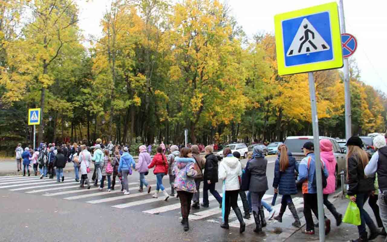 Дороги ученику. Дорога возле школы. Пешеходный переход около школы. Школа с переходом. Пешеходный переход вблизи школ.