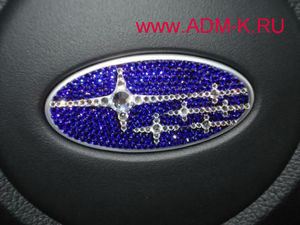 DW shield 1 копия