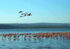 africa0210