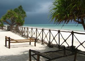 africa0446