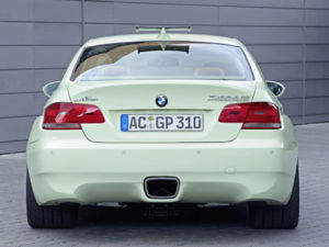 ac schnitzer gp310 04