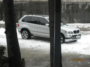 IMG 3231