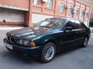 5-er