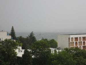 IMG 2781