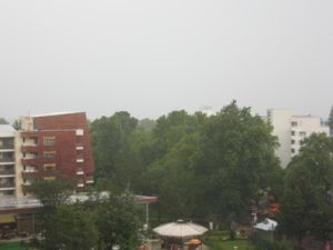IMG 2786