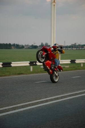 DSC 1937