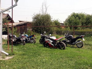 suz 10