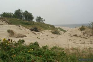 baltiysk 360578