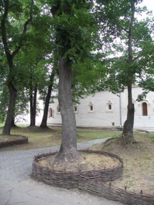 19162