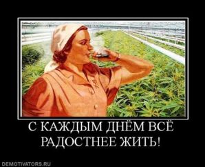 С каждым днем все радостнее жить2