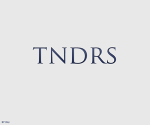tndrs logo