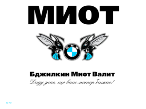 bdzhilkin miot logo