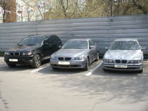 Отданы в хорошие руки