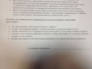 фотография (8)