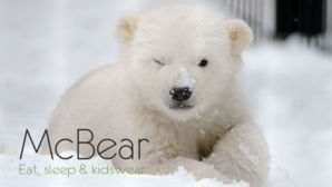 mcbear kids logo
