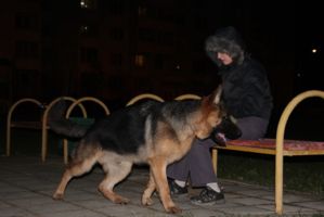 3634344
