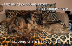 getImage%20(3)