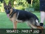 e92f2e983b50c9aa854da596751cd043