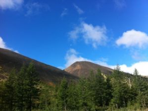 IMG 0921