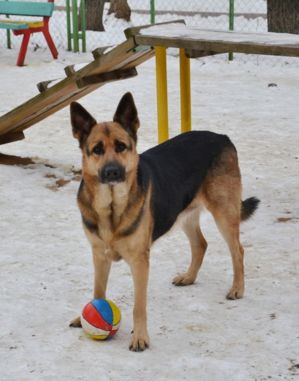 лана