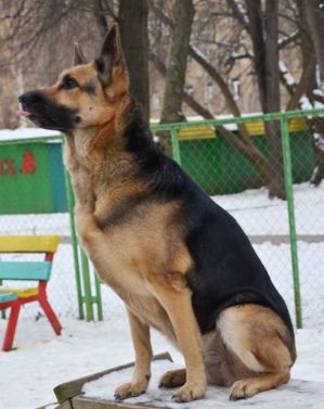 лана